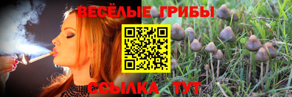 Галлюциногенные грибы мухоморы Видное