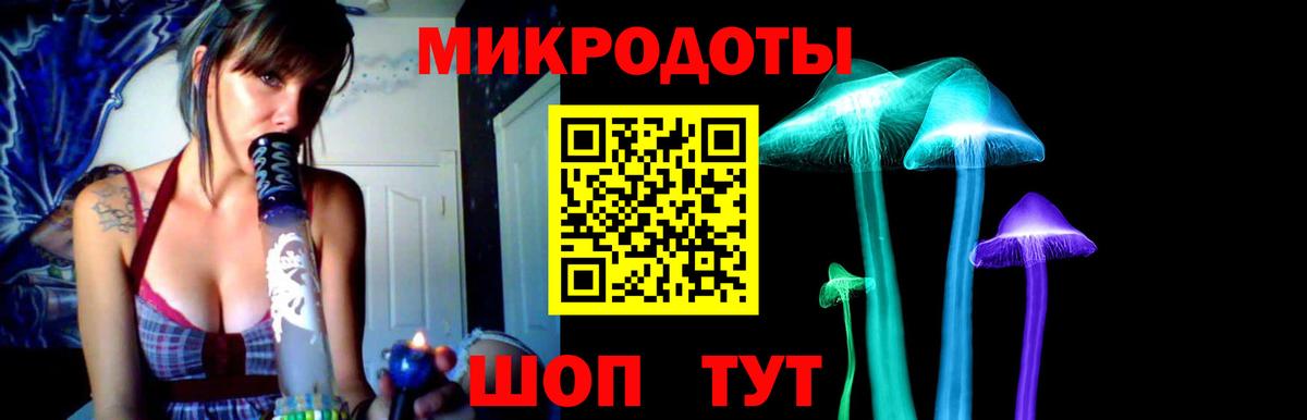 Псилоцибиновые грибы прущие грибы  Вход с VPN  Видное  Галлюциногенные грибы Cubensis 
